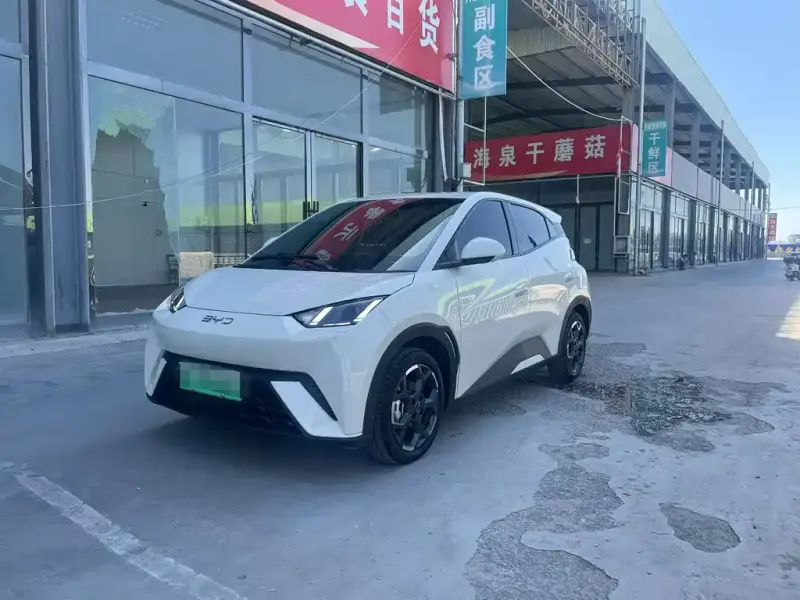 BYD Seagull, 2025