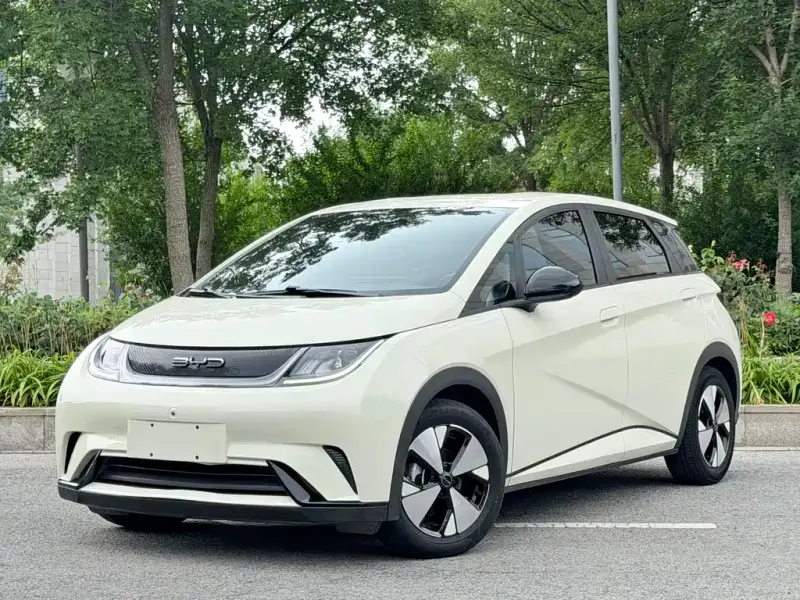 BYD Dolphin, 2023