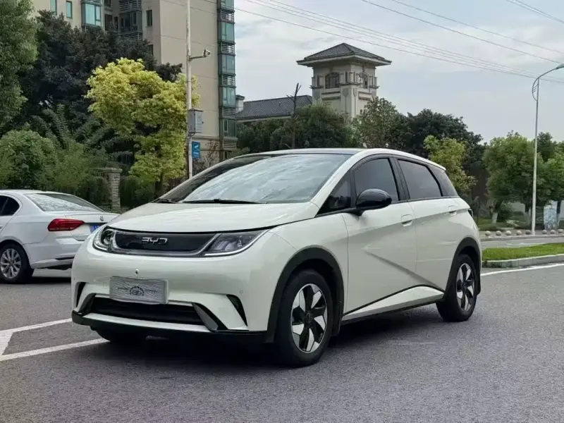 BYD Dolphin, 2024