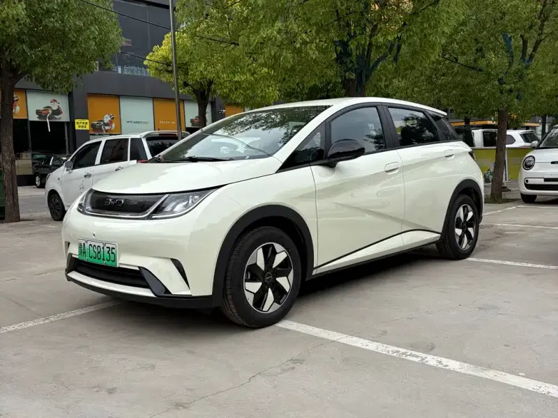 BYD Dolphin, 2026