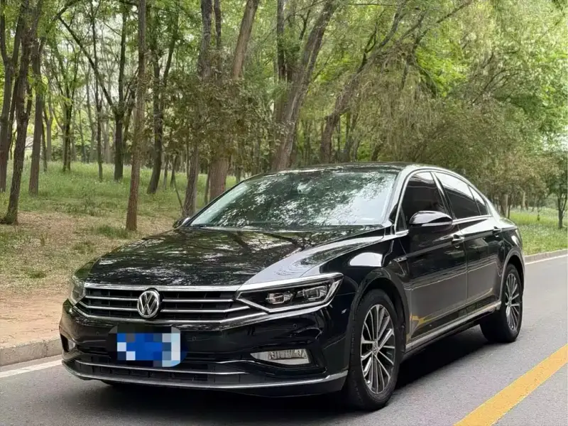 Volkswagen Magotan, 2020