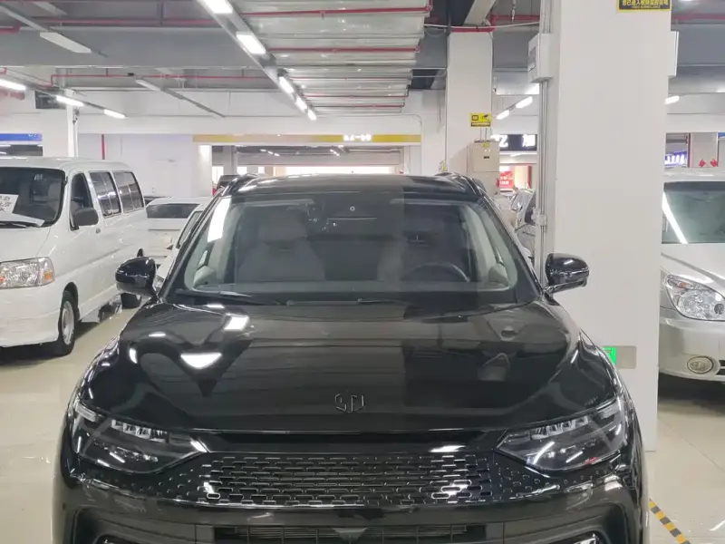 Leapmotor C11, 2024