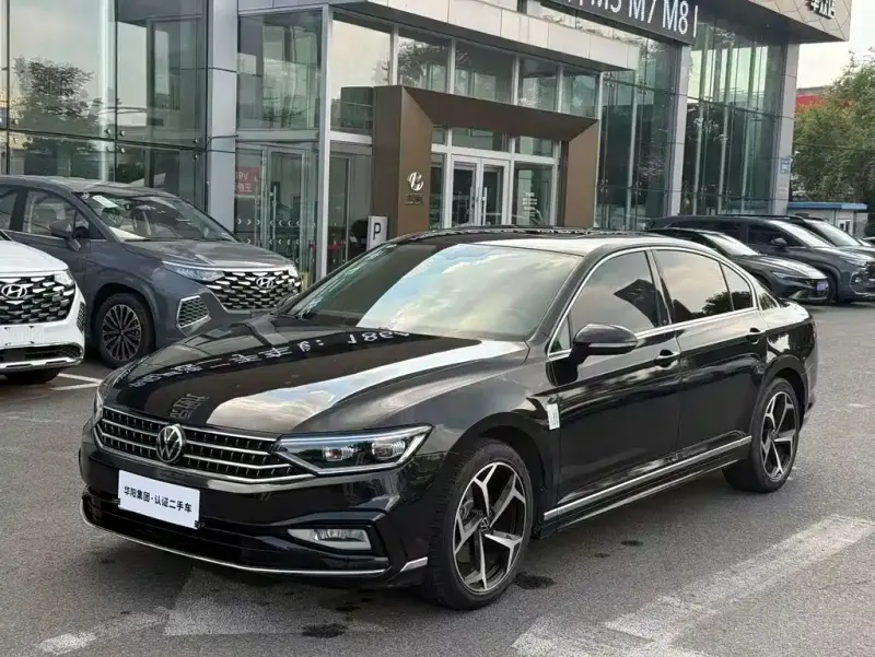 Volkswagen Magotan, 2024