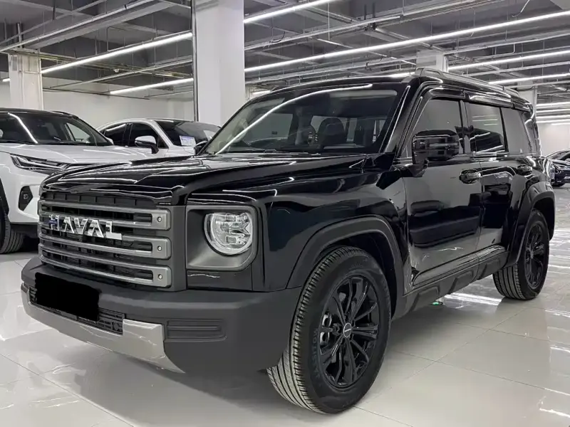 Haval Menglong New Energy, 2024