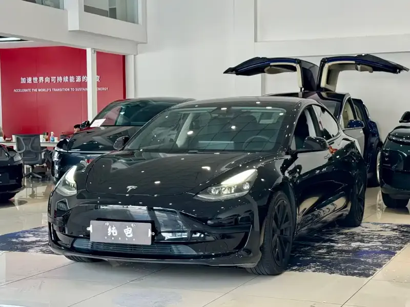 Tesla Model 3, 2021