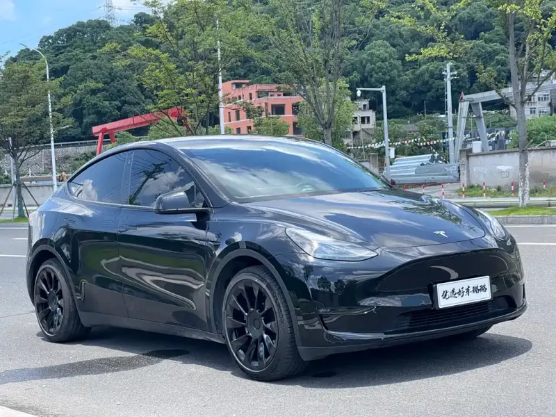 Tesla Model Y, 2021