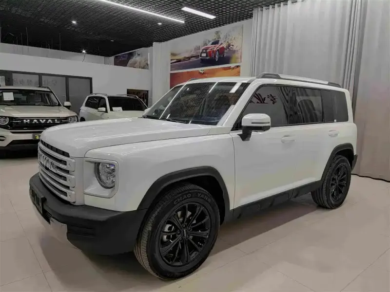 Haval Menglong New Energy, 2025