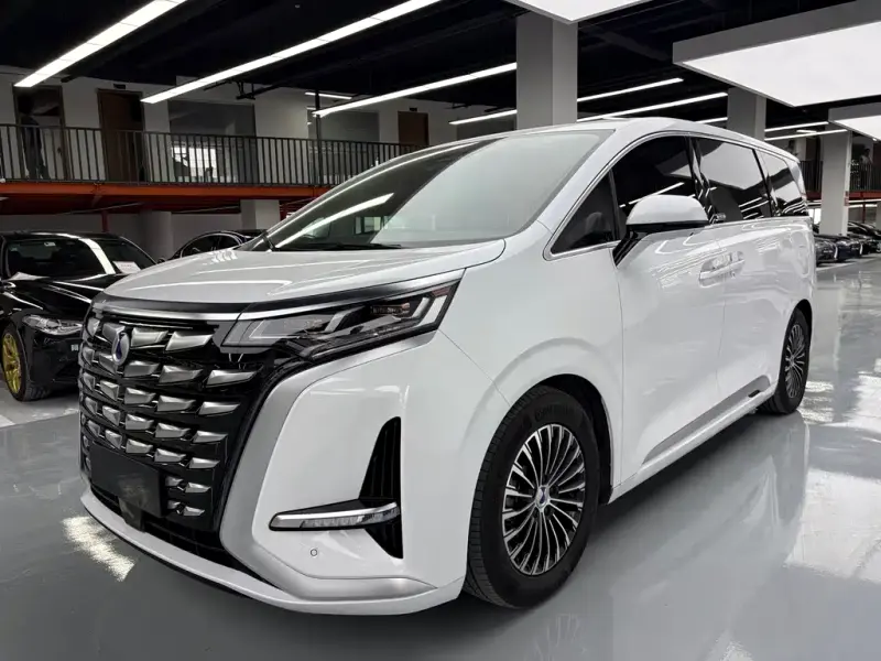 Denza D9, 2024