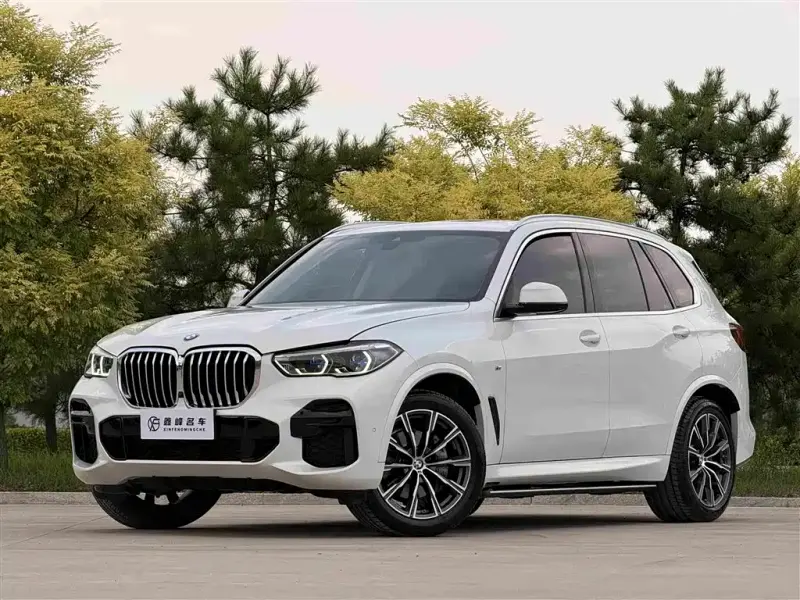 BMW X5 (Import), 2022