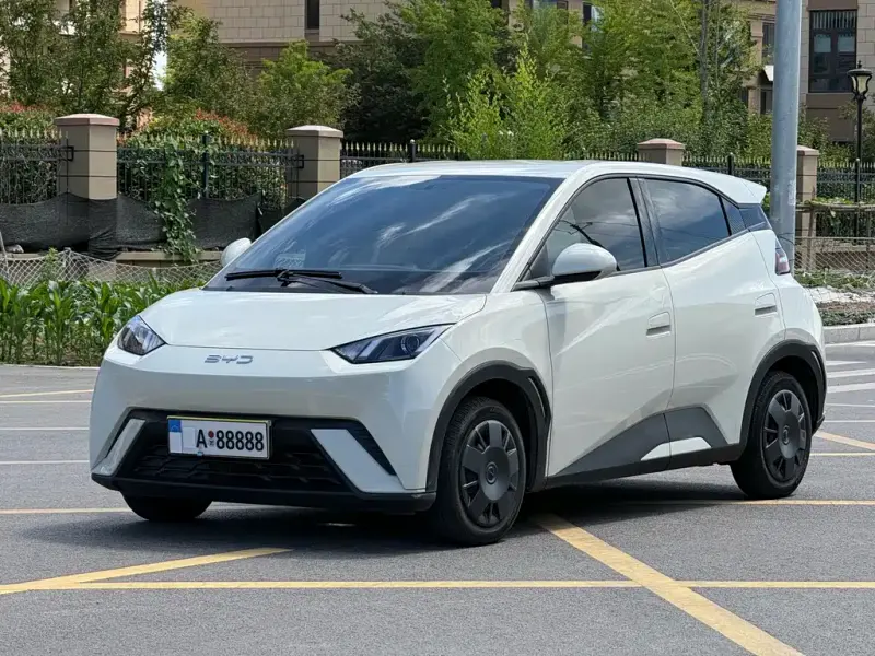 BYD Seagull, 2024