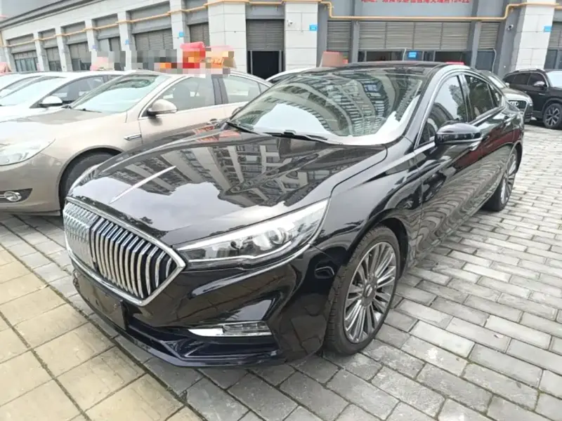 Hongqi H5, 2020