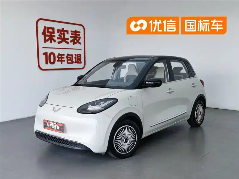Wuling Bingo, 2024