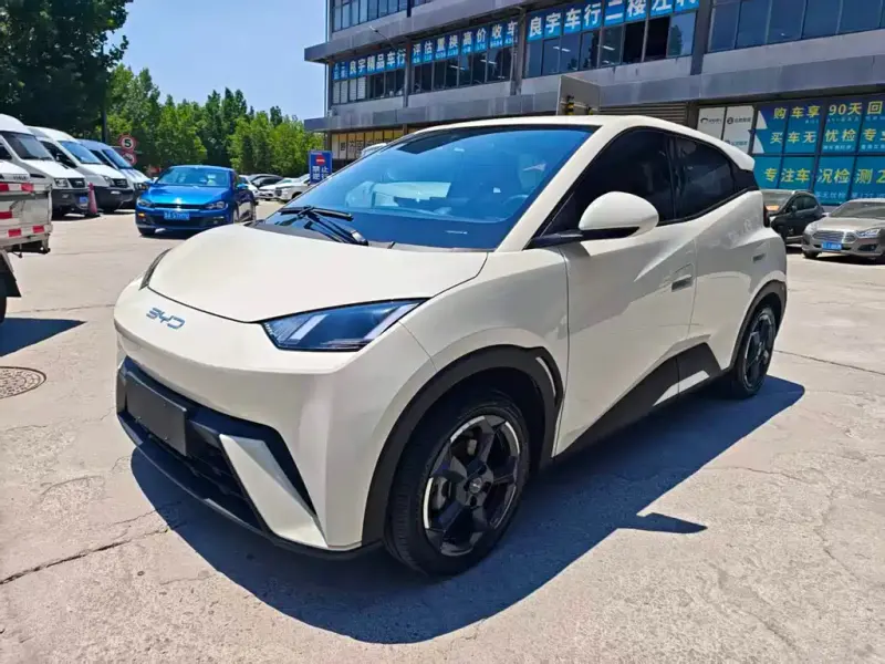 BYD Seagull, 2023
