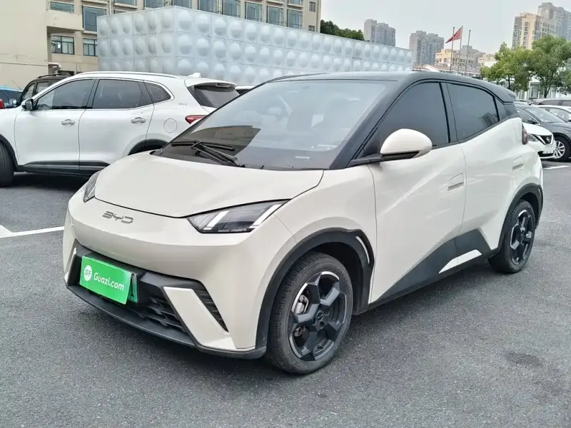 BYD Seagull, 2024