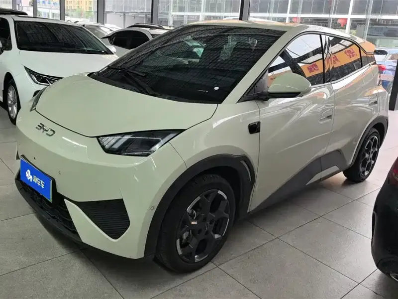 BYD Seagull, 2025