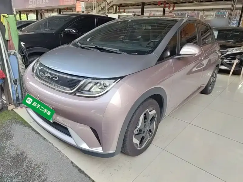 BYD Dolphin, 2022