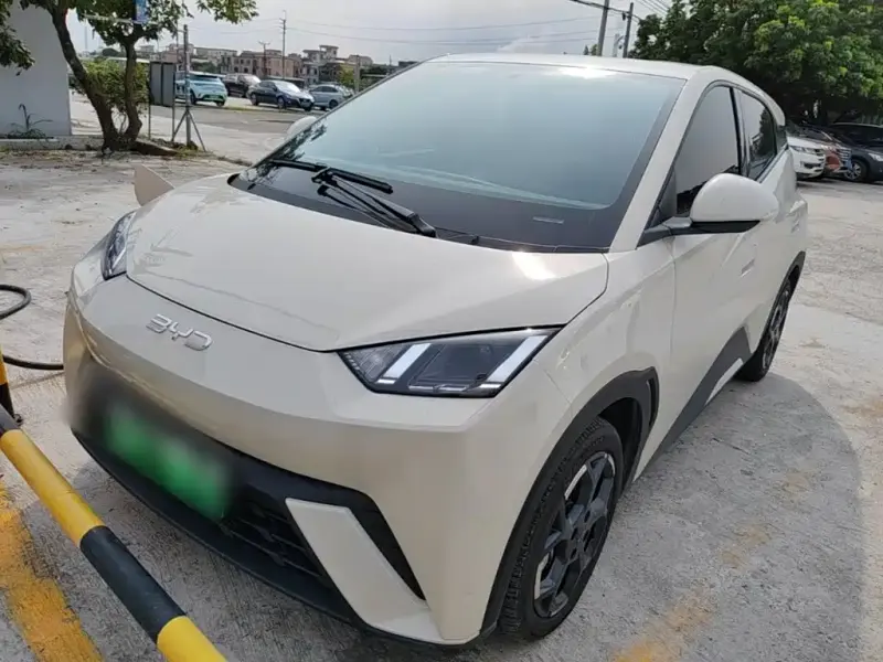 BYD Seagull, 2025
