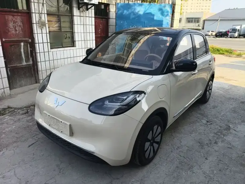 Wuling Bingo, 2026