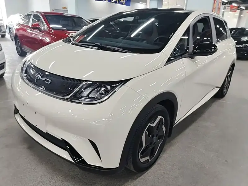BYD Dolphin, 2023