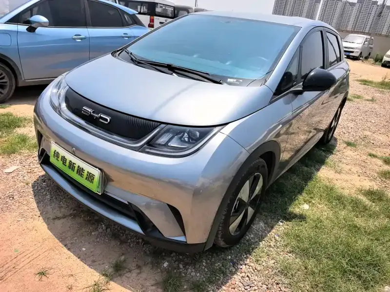 BYD Dolphin, 2024