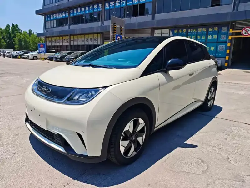 BYD Dolphin, 2024