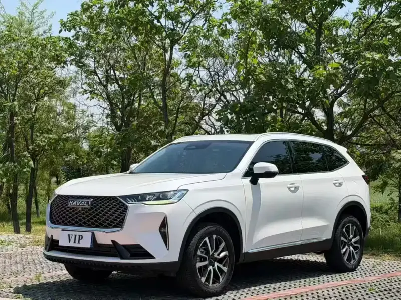 Haval H6, 2024