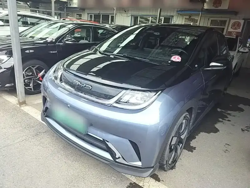 BYD Dolphin, 2023