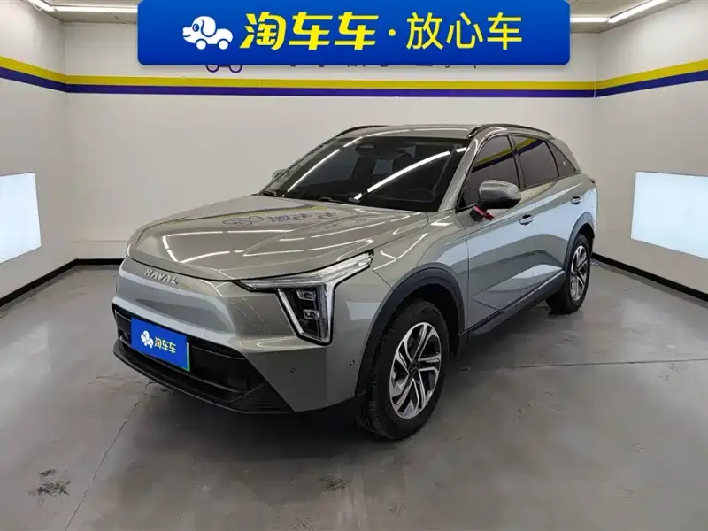 Haval Xiaolong, 2024