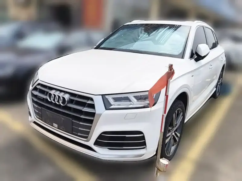 Audi Q5L, 2021