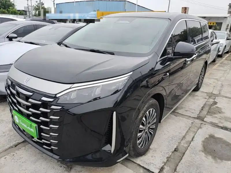 BYD Xia, 2025