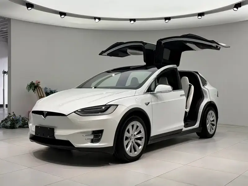 Tesla Model X, 2019