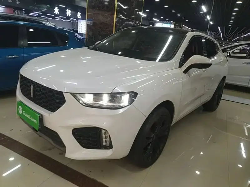 Wey VV5, 2018