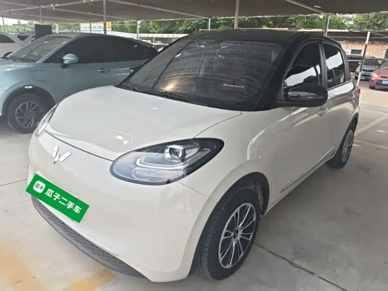 Wuling Bingo, 2024