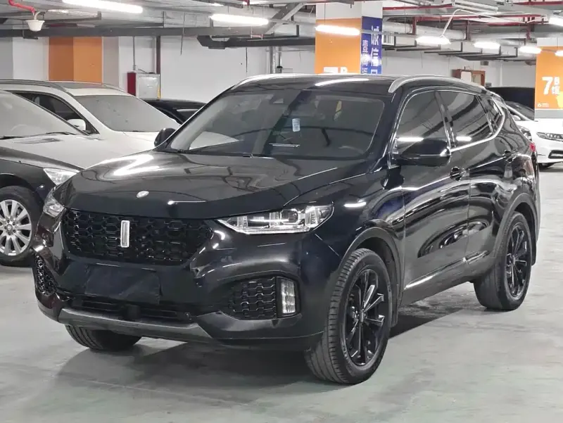 Wey VV6, 2019