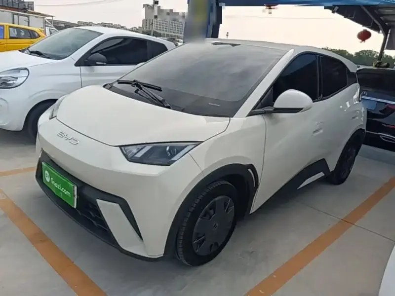 BYD Seagull, 2024