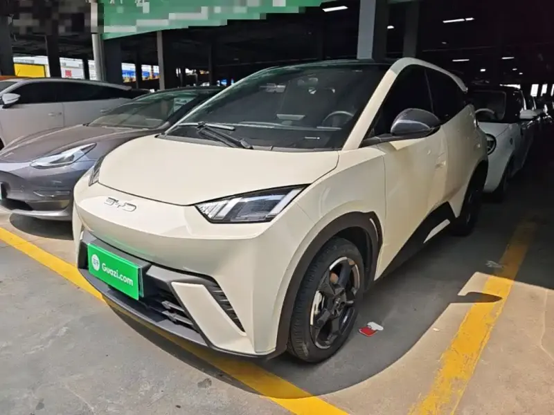 BYD Seagull, 2023