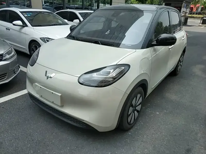 Wuling Bingo, 2023