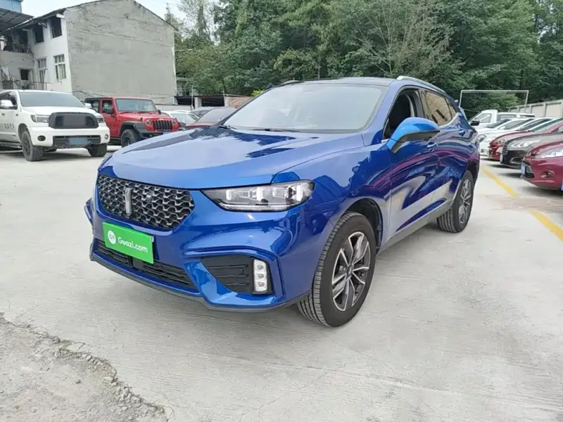 Wey VV5, 2020