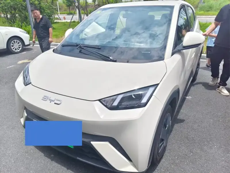 BYD Seagull, 2025