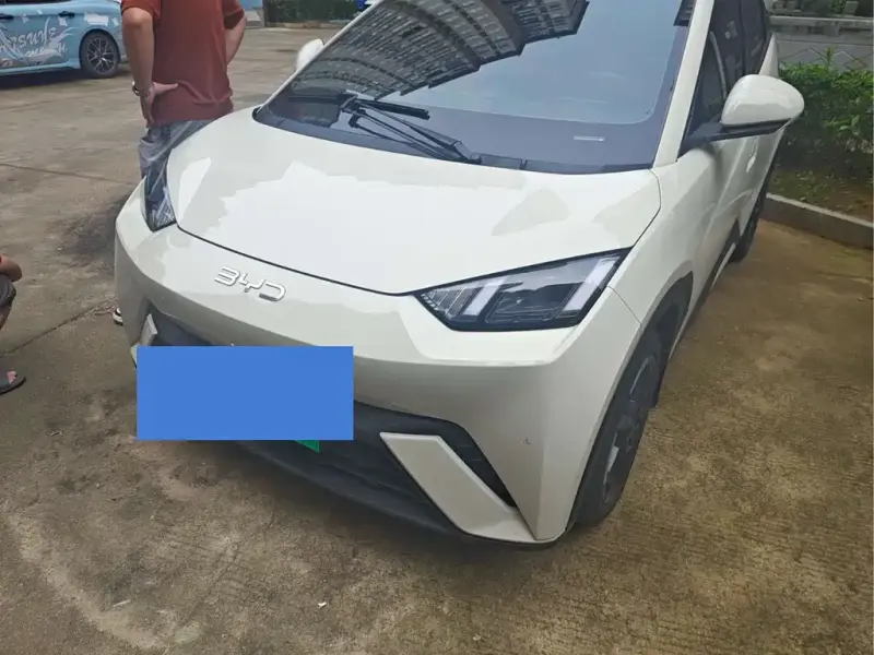 BYD Seagull, 2024