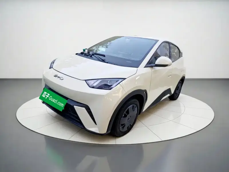 BYD Seagull, 2025