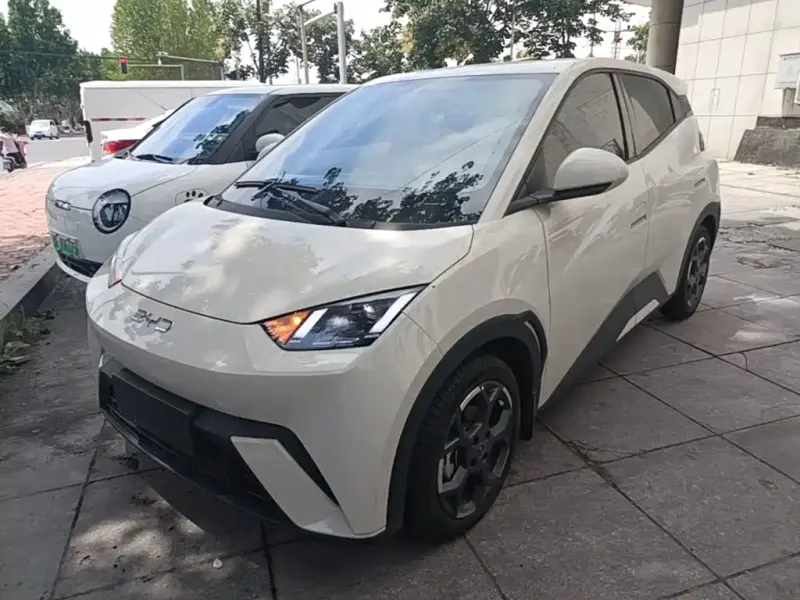 BYD Seagull, 2025