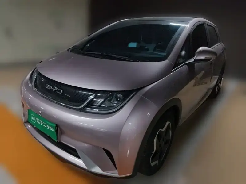 BYD Dolphin, 2022