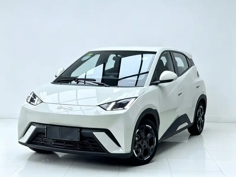 BYD Seagull, 2025