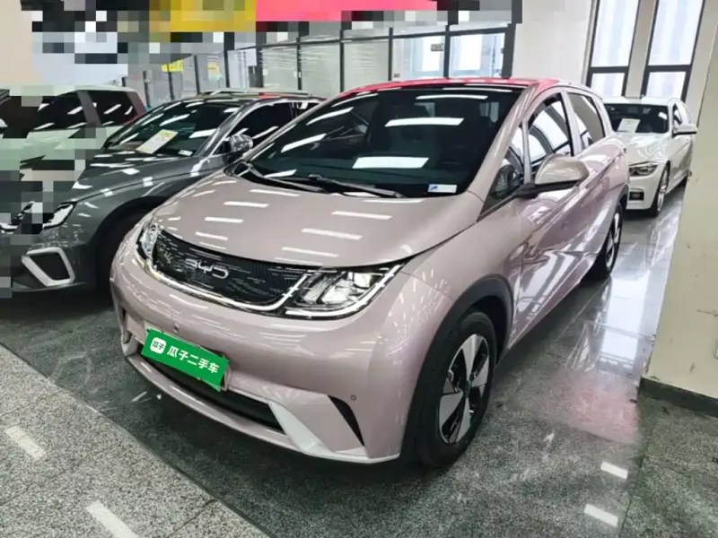 BYD Dolphin, 2023