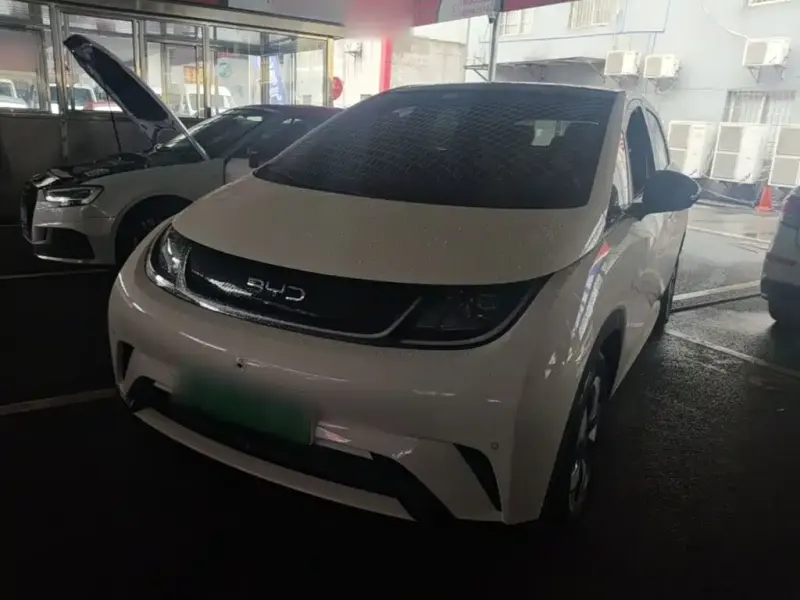 BYD Dolphin, 2024