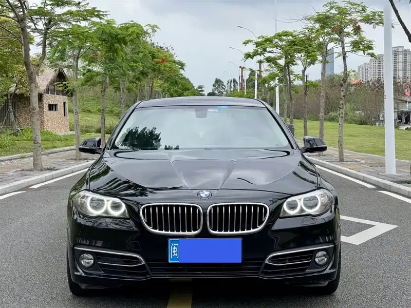 BMW 5 Series, 2014