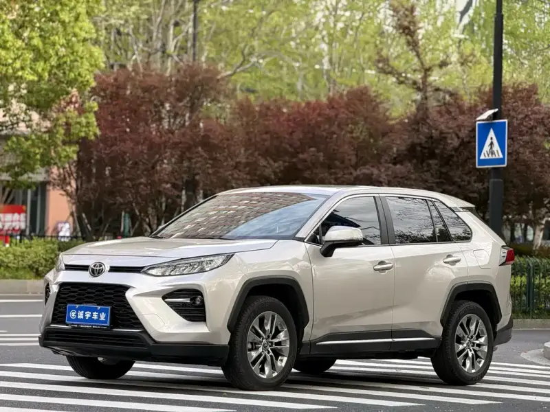 Toyota Wildlander, 2020
