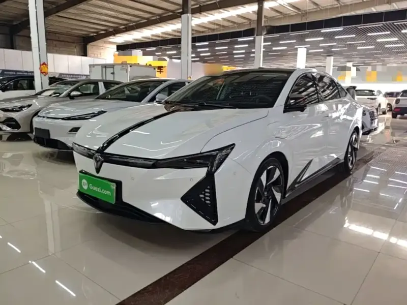 Lingxi L, 2024