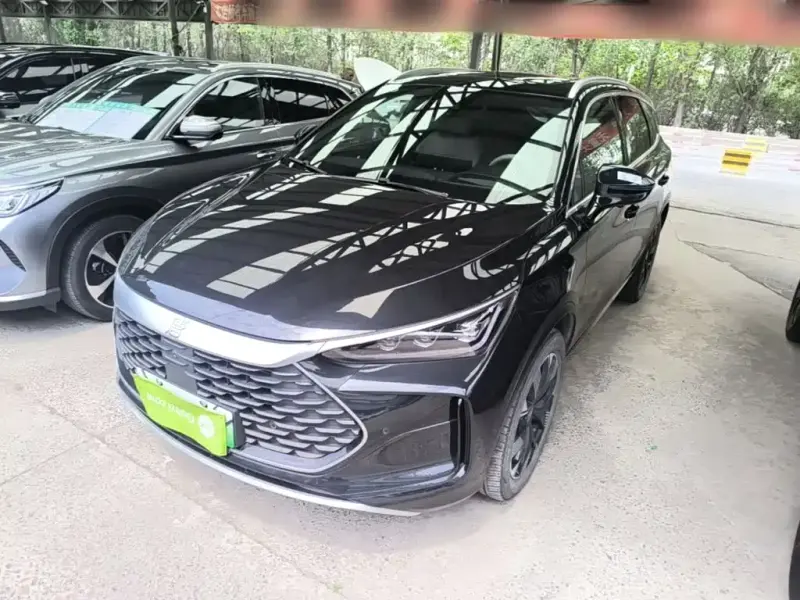 BYD Tang New Energy, 2024